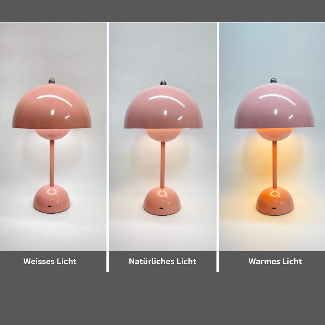 Sandsberg - Die Kabellose Pilzlampe