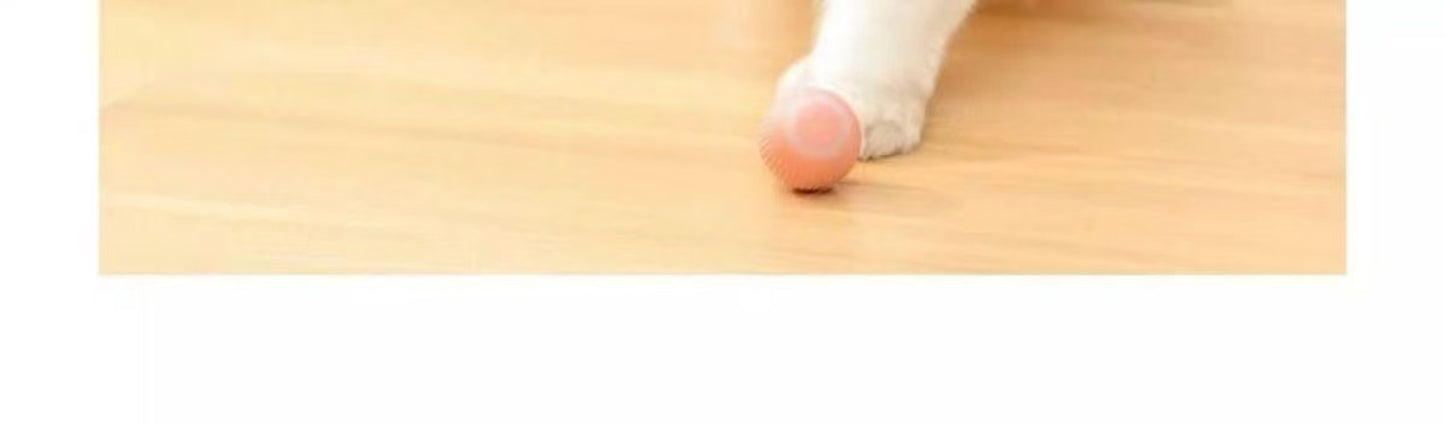 Sandsberg | Elektrischer Rollball neckt Katze