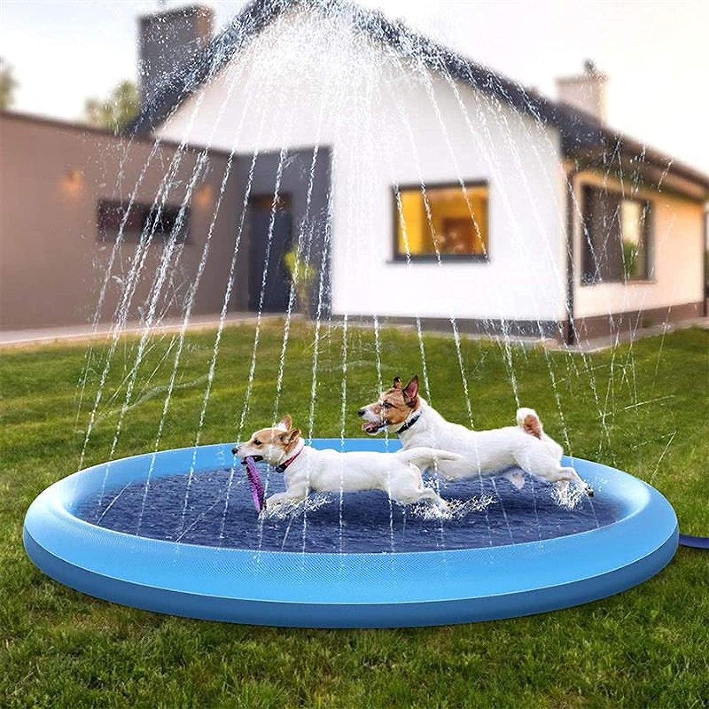 SplashPaws™ | Haustier-Sprinklerkissen