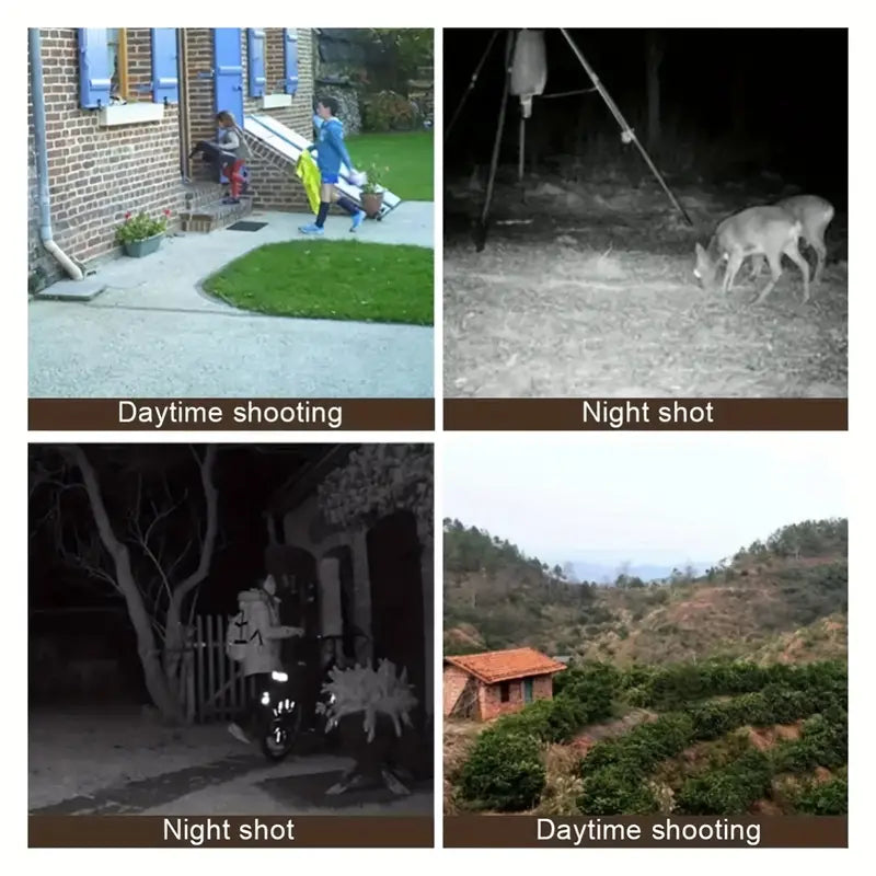 Sandsberg - Jagd Kamera