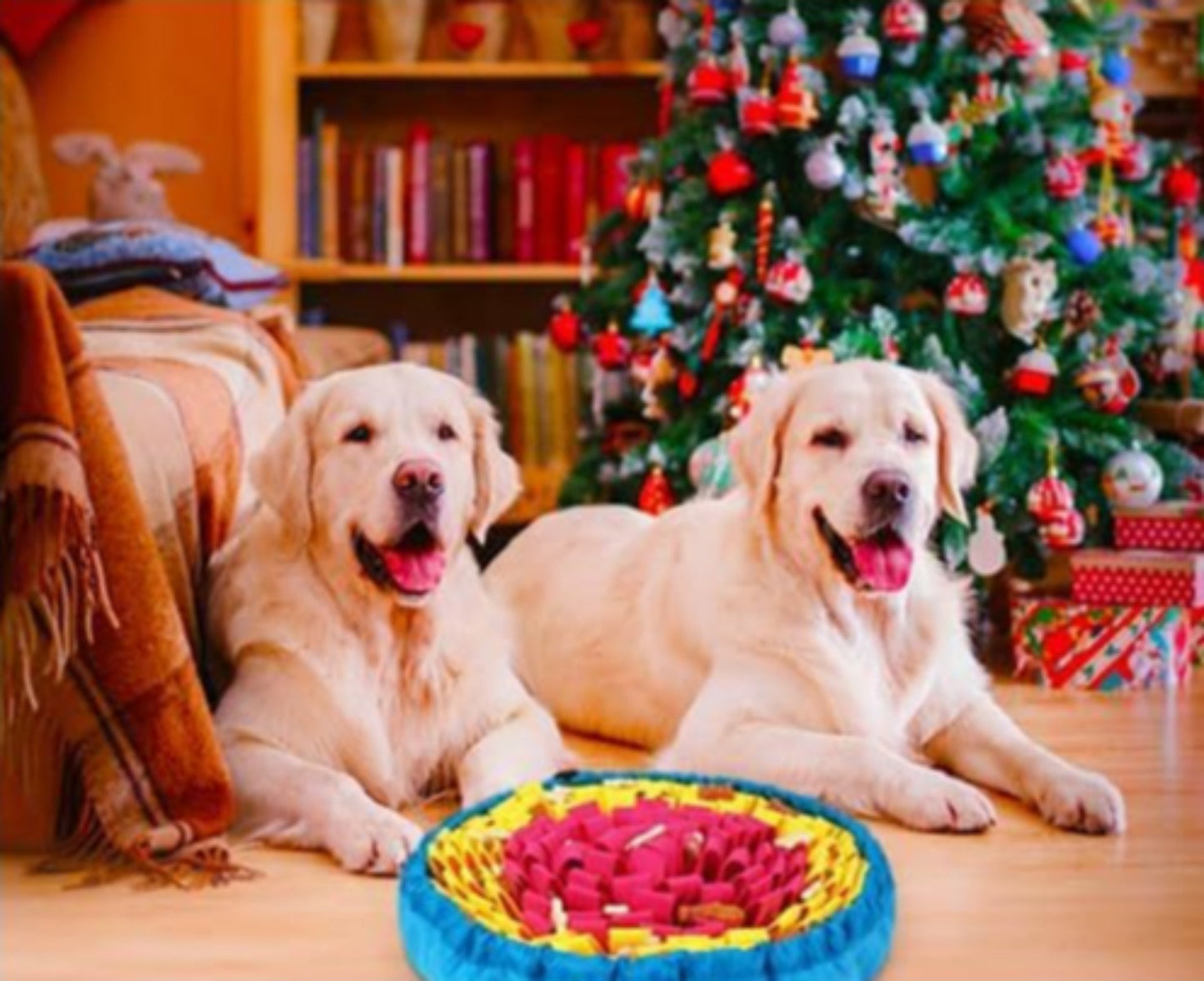 Sandsberg | Tibetisches Futtertraining Hundespielzeug