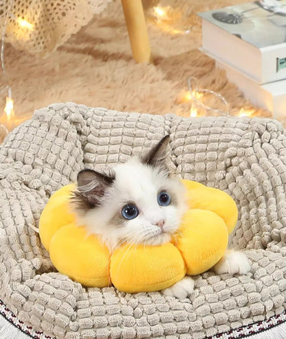 Sandsberg | Elizabeth Ring Anti-Leck-Floh-Entfernungshalsband