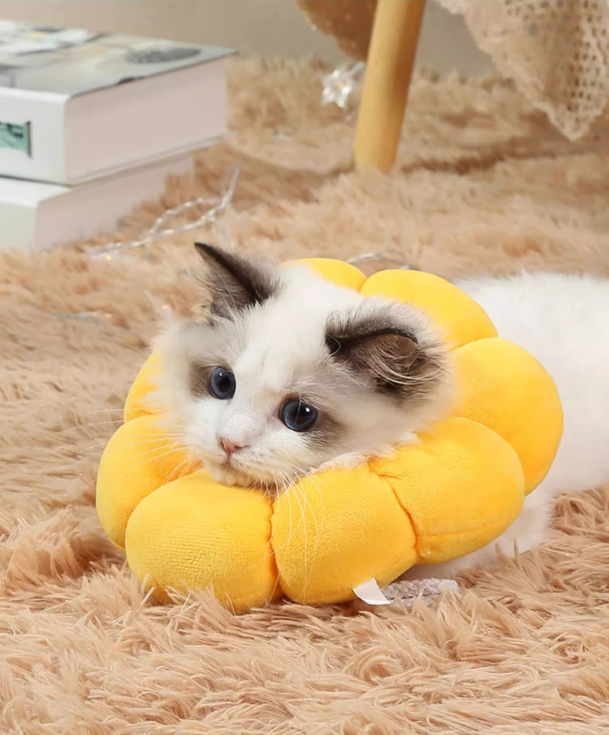 Sandsberg | Elizabeth Ring Anti-Leck-Floh-Entfernungshalsband