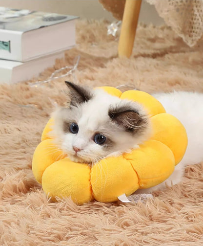 Sandsberg | Elizabeth Ring Anti-Leck-Floh-Entfernungshalsband