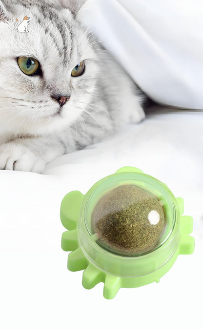 Sandsberg | Katzenminze Ball Katzenspielzeug