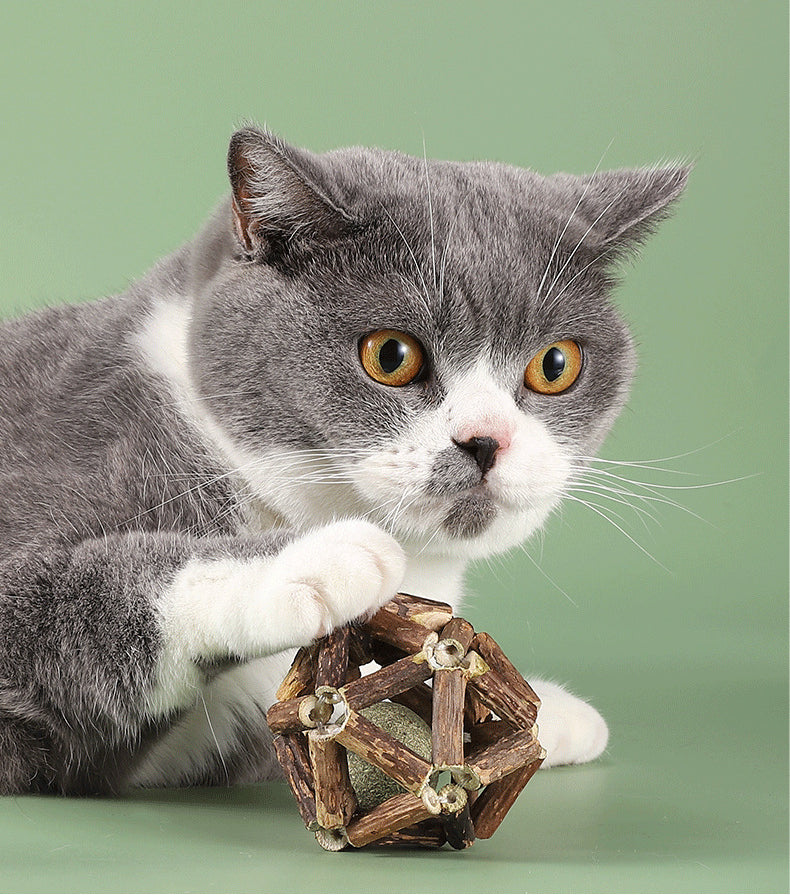 Sandsberg | Polygonum Katzenminze Grasball