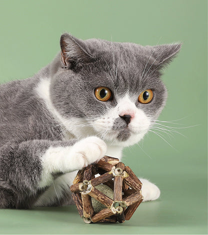 Sandsberg | Polygonum Katzenminze Grasball