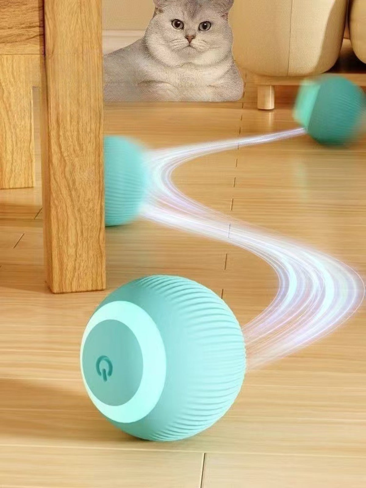 Sandsberg | Elektrischer Rollball neckt Katze