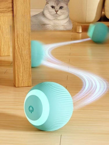 Sandsberg | Elektrischer Rollball neckt Katze