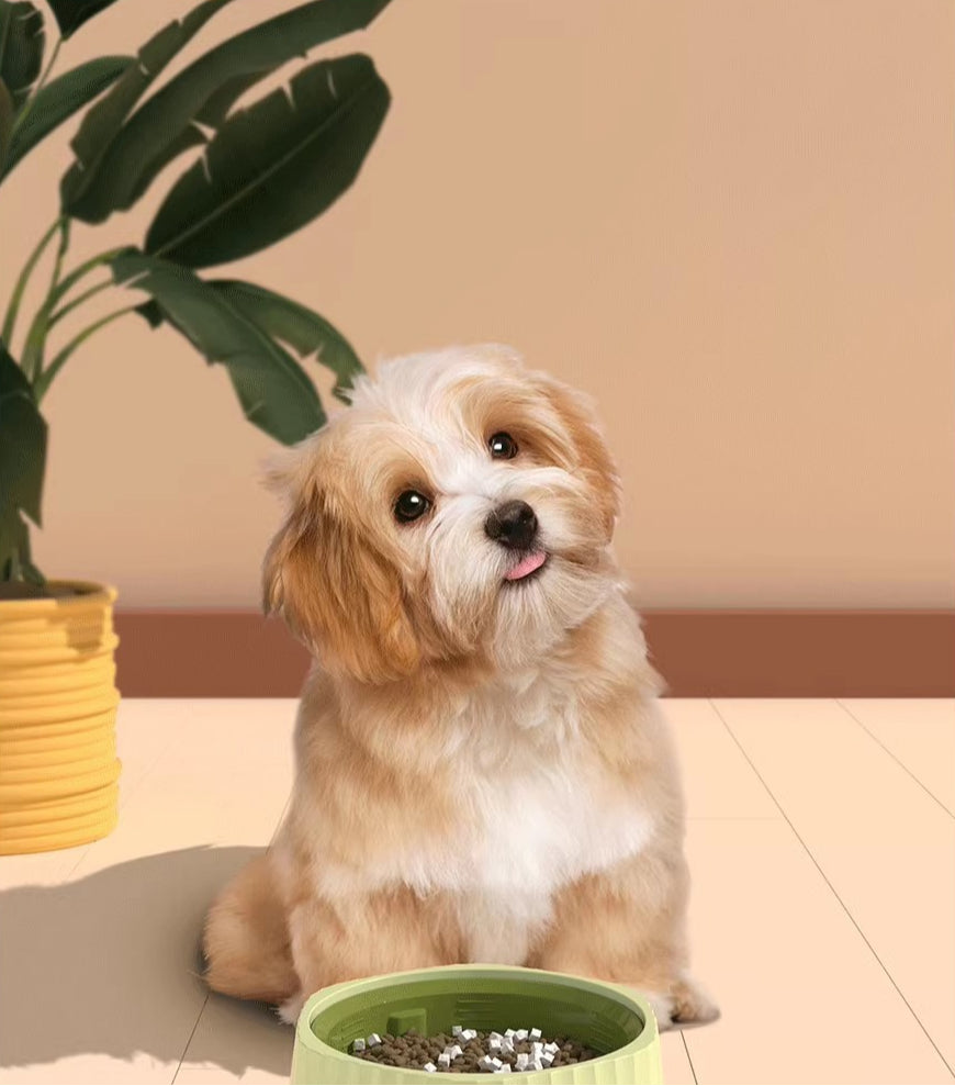 Sandsberg | Hund Slow Food Bowl Haustier Anti-Klopf und rutschfest