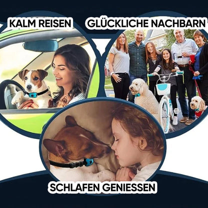 Wiederaufladbarer, wasserdichter Hundetrainer