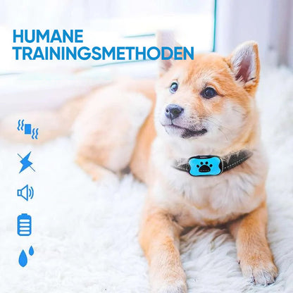 Wiederaufladbarer, wasserdichter Hundetrainer