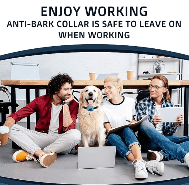 Sandsberg-Bark-Halsband (Sonderangebot, jetzt kaufen!!!)