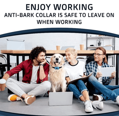 Sandsberg-Bark-Halsband (Sonderangebot, jetzt kaufen!!!)