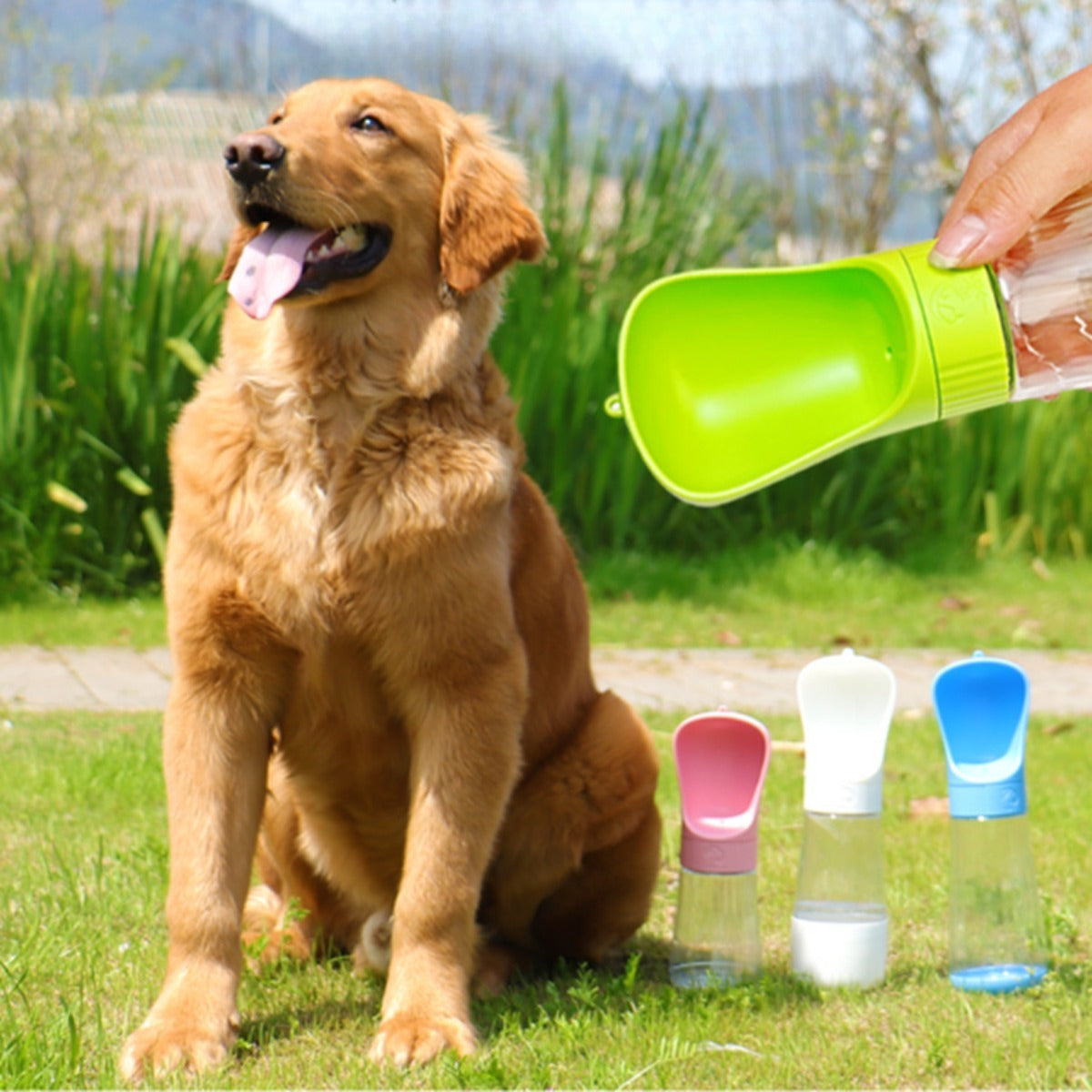 Sandsberg | Hundekessel Outdoor Fütterung Wasser begleitende Tasse