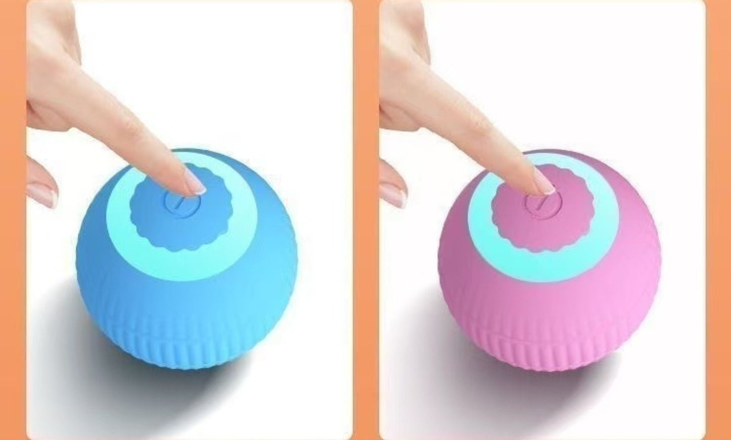 Sandsberg | Elektrischer Rollball neckt Katze