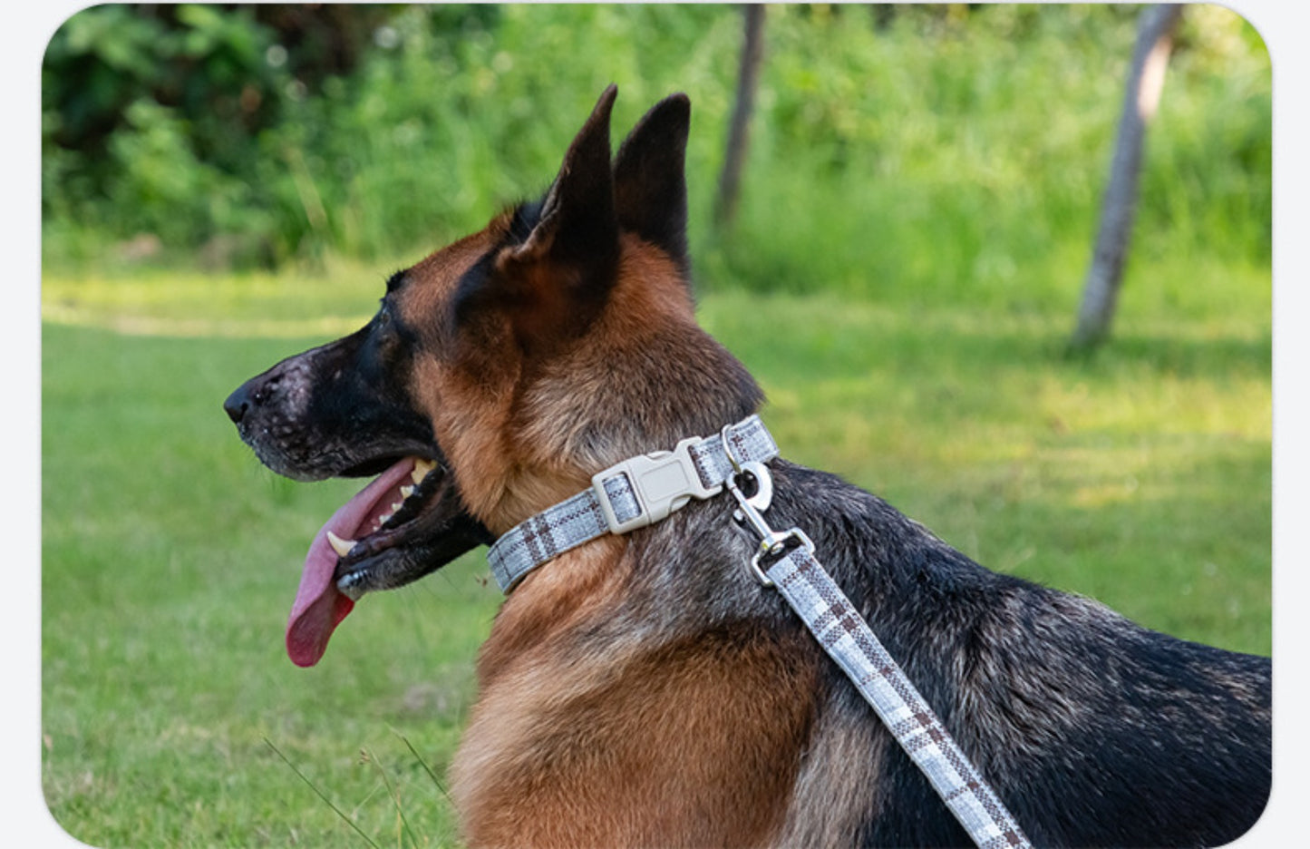 Sandsberg | Halsring aus reinem Hanf für große, mittlere und kleine Haustiere