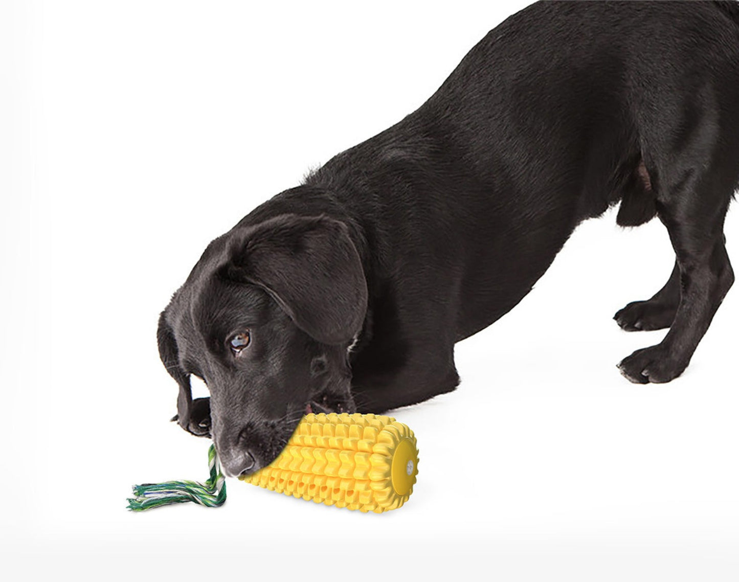 Sandsberg | Simuliertes Corn Dog Spielzeug