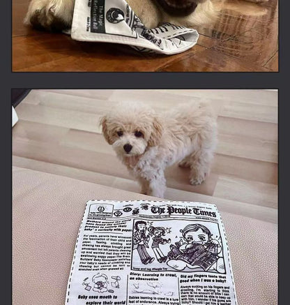 Sandsberg | Haustier Stimme Zeitung Klingeln Papier Schleifen Zähne Spielzeug