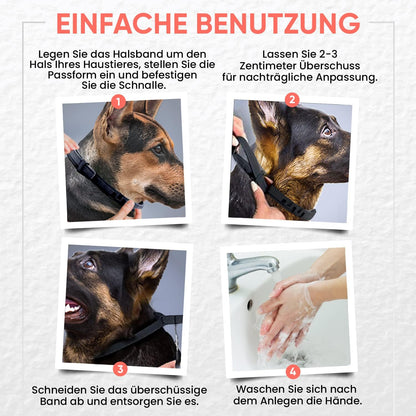 Sandsberg - Anti Zecken Halsband