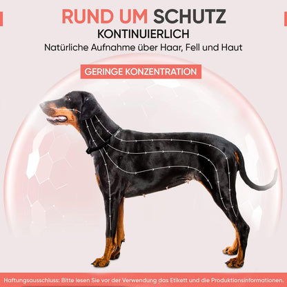 Sandsberg - Anti Zecken Halsband