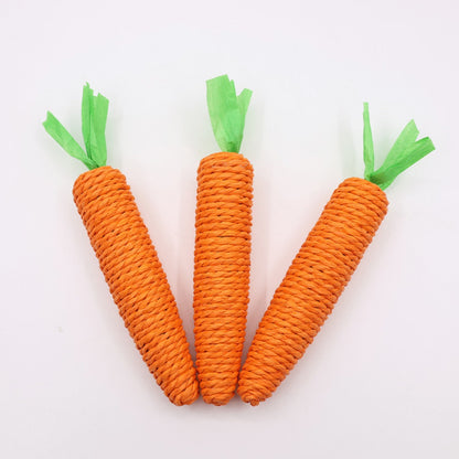 Sandsberg | Karotte Haustier Backenzahn Klaue Stick