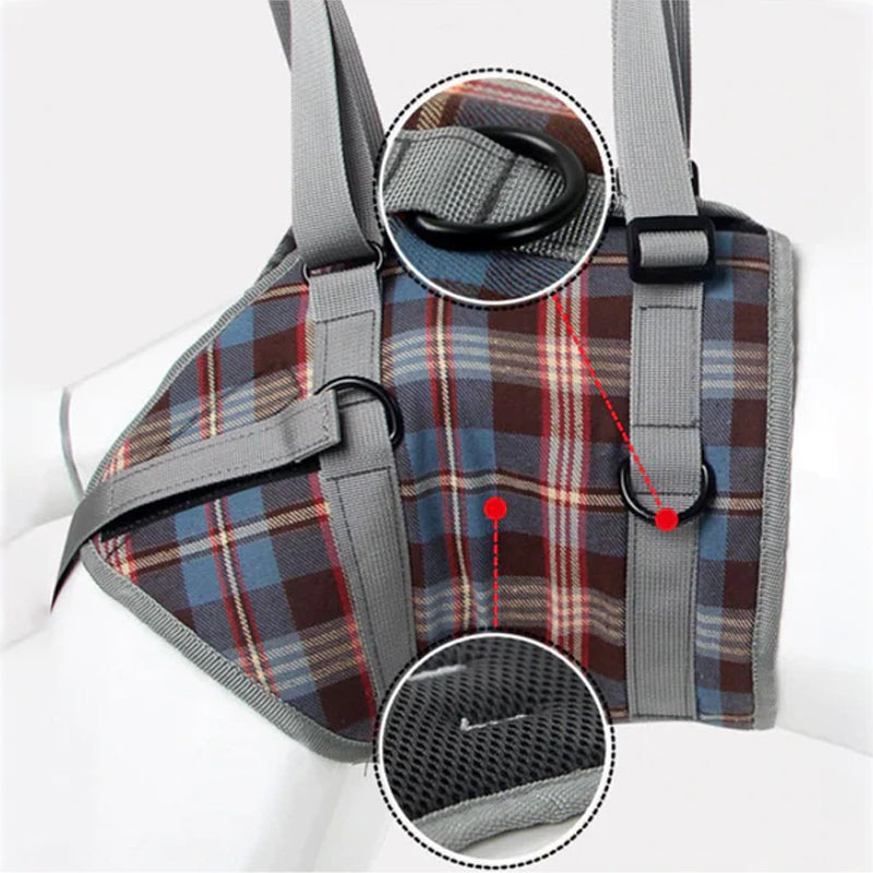 Orthopädischer Gurt für Hinterbeine