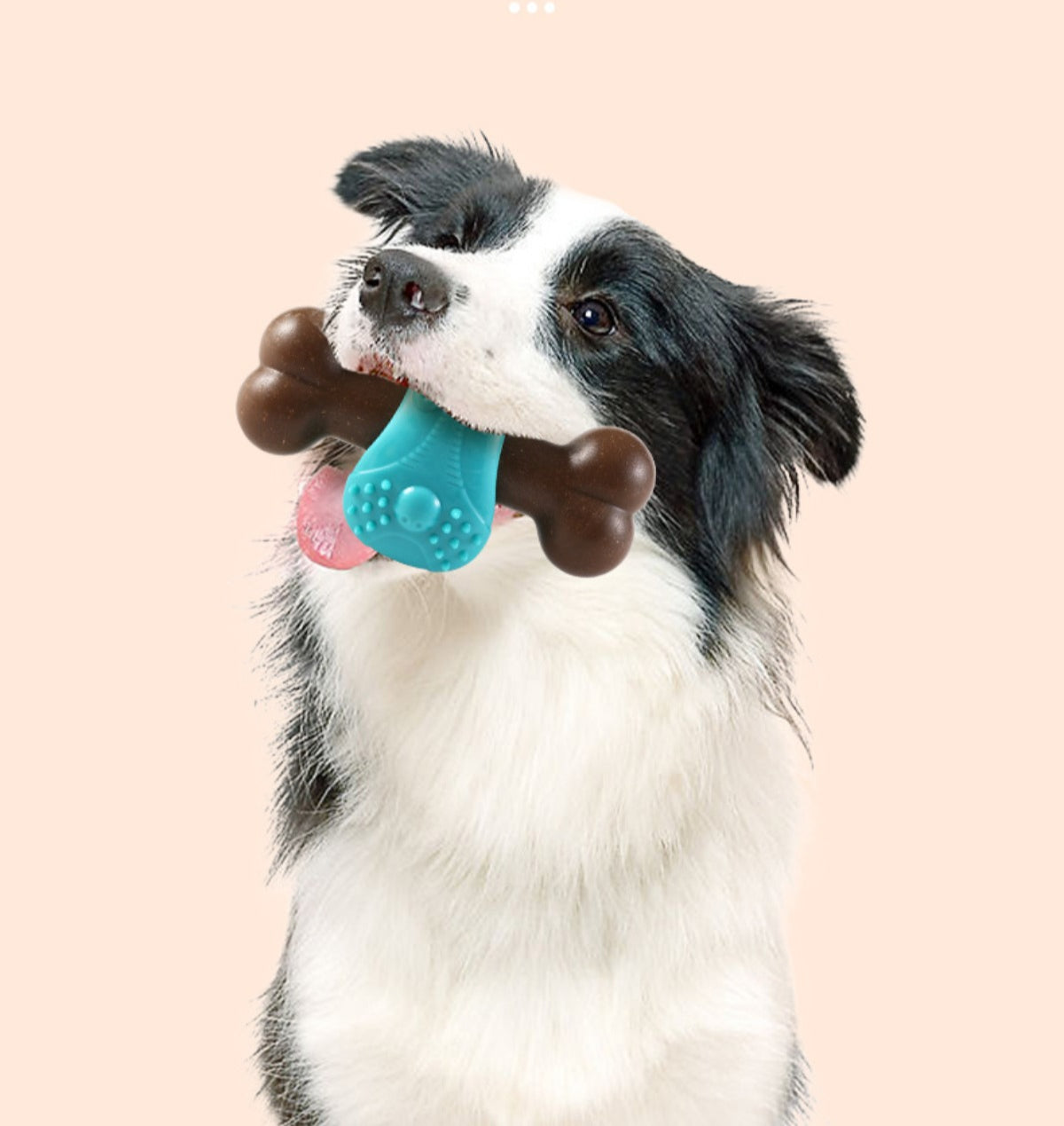 Sandsberg | Simulation knochenbeständiges Zähneknirschen Reinigung Hundespielzeug