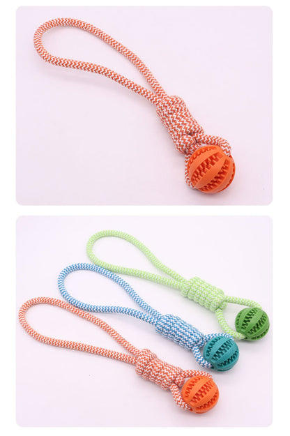 Sandsberg | Haustierspielzeug Backenzahn Seil Ball