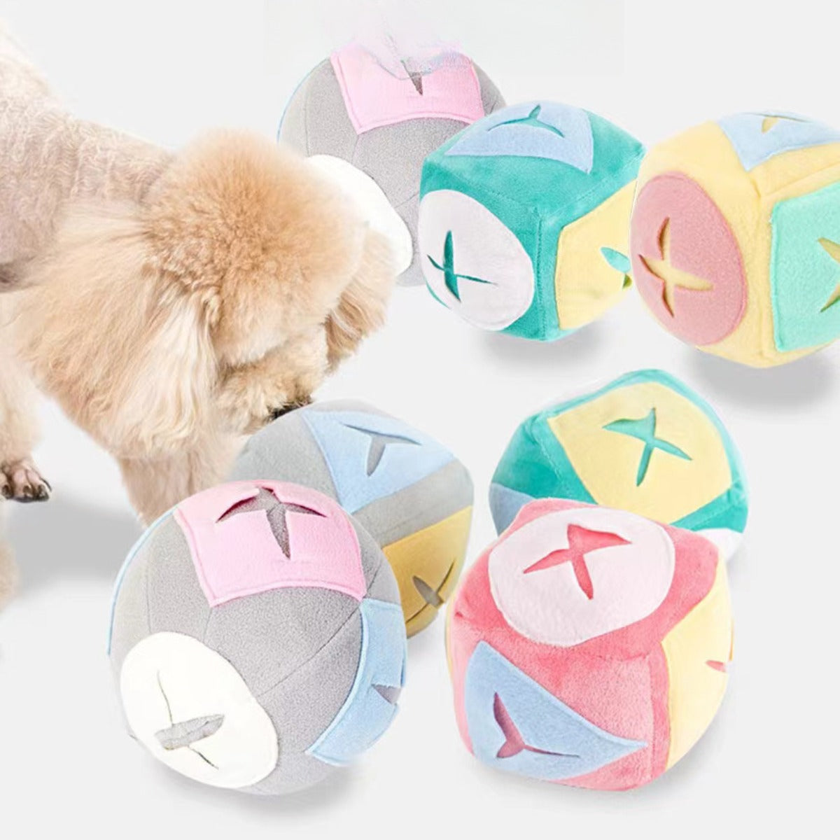 Sandsberg | Hund schnüffelt Ball Futtersuche leckt Spielzeugball