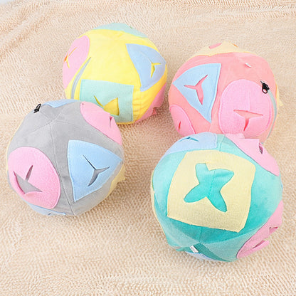 Sandsberg | Hund schnüffelt Ball Futtersuche leckt Spielzeugball