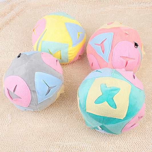 Sandsberg | Hund schnüffelt Ball Futtersuche leckt Spielzeugball