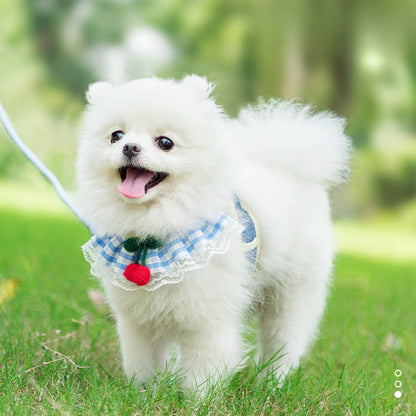 Sandsberg | Leine für kleine Haustiere Brustgurt