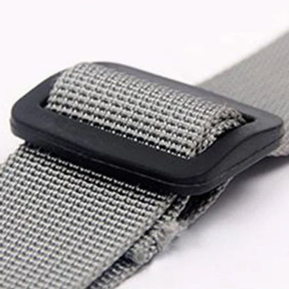 Orthopädischer Gurt für Hinterbeine