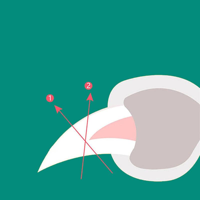 MAX - Bester Nagelknipser für Hunde mit Schnellsensoren