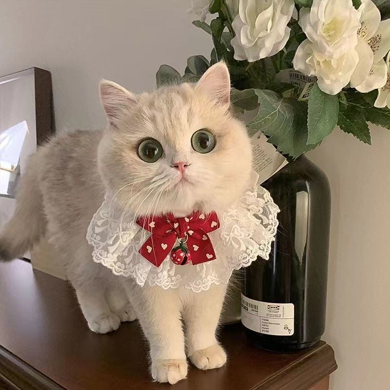 Sandsberg | Halskette für große, mittlere und kleine Hundelätzchen