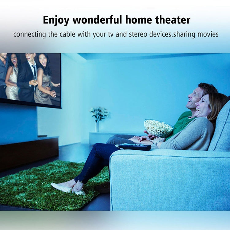 Sandsberg | 30m OD6.0mm vernickeltes Metallkopf Toslink männlich zu männlich digitales optisches Audiokabel