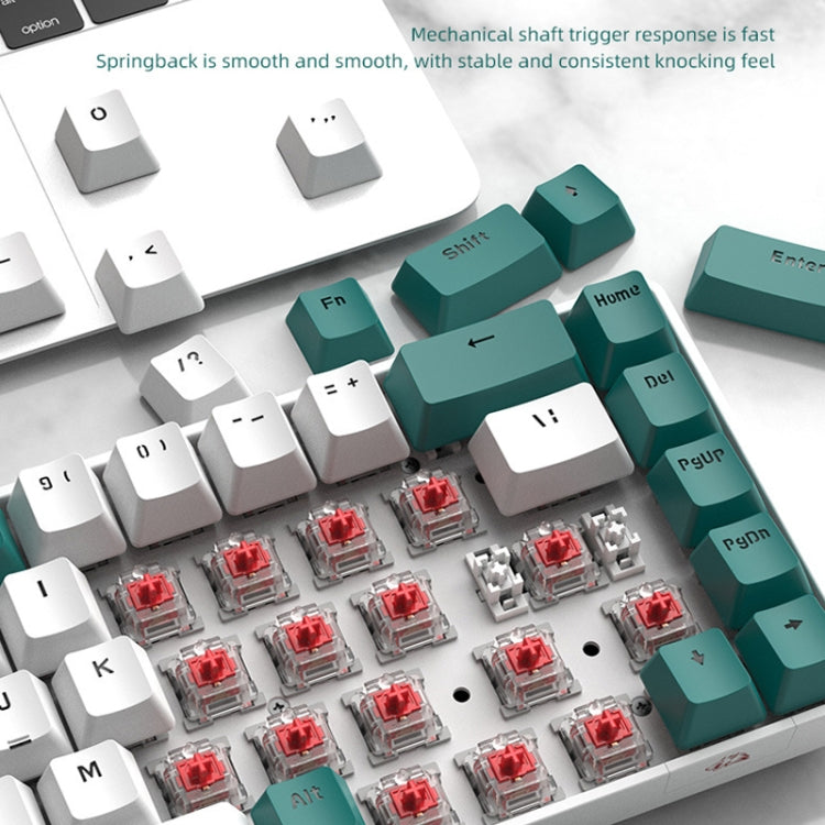 Sandsberg | ZIYOU LANG T8 68 Tasten RGB Gaming Mechanische Tastatur, Kabellänge: 1,5m, Stil: Mikro Licht Version Grüner Schaft