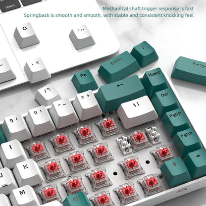 Sandsberg | ZIYOU LANG T8 68 Tasten RGB Gaming Mechanische Tastatur, Kabellänge: 1,5m, Stil: Mikro Licht Version Grüner Schaft