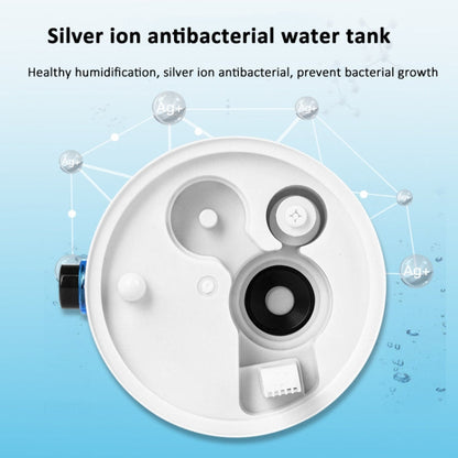 Sandsberg | 4L Reptil Befeuchter Nebelgerät Kühle Nebel Nebel Mister mit Schlauch für Schildkrötenhabitat EU-Stecker