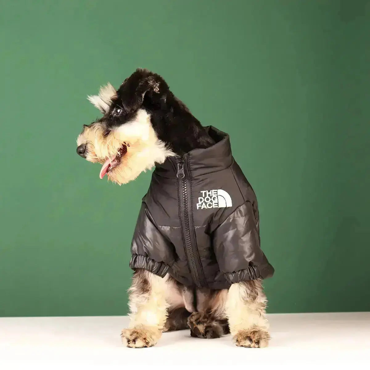 Die Dog Face Jacke - Typ A