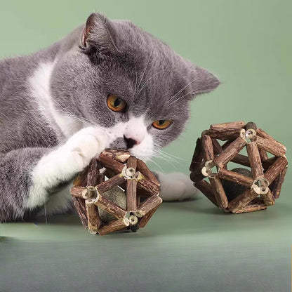 Sandsberg | Polygonum Katzenminze Grasball