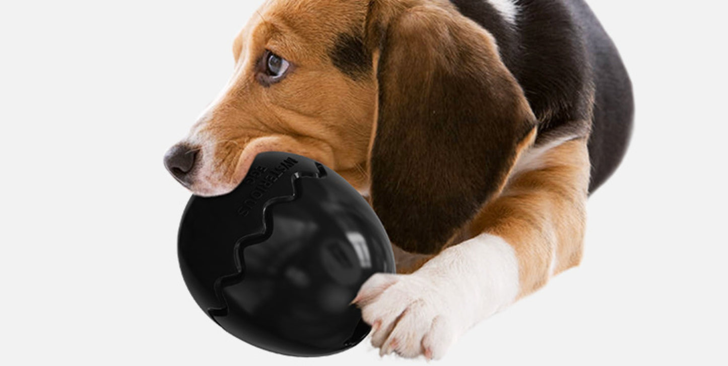 Sandsberg | Slow Food Leaks Dinosaurier-Eier Slow Food Hundespielzeug