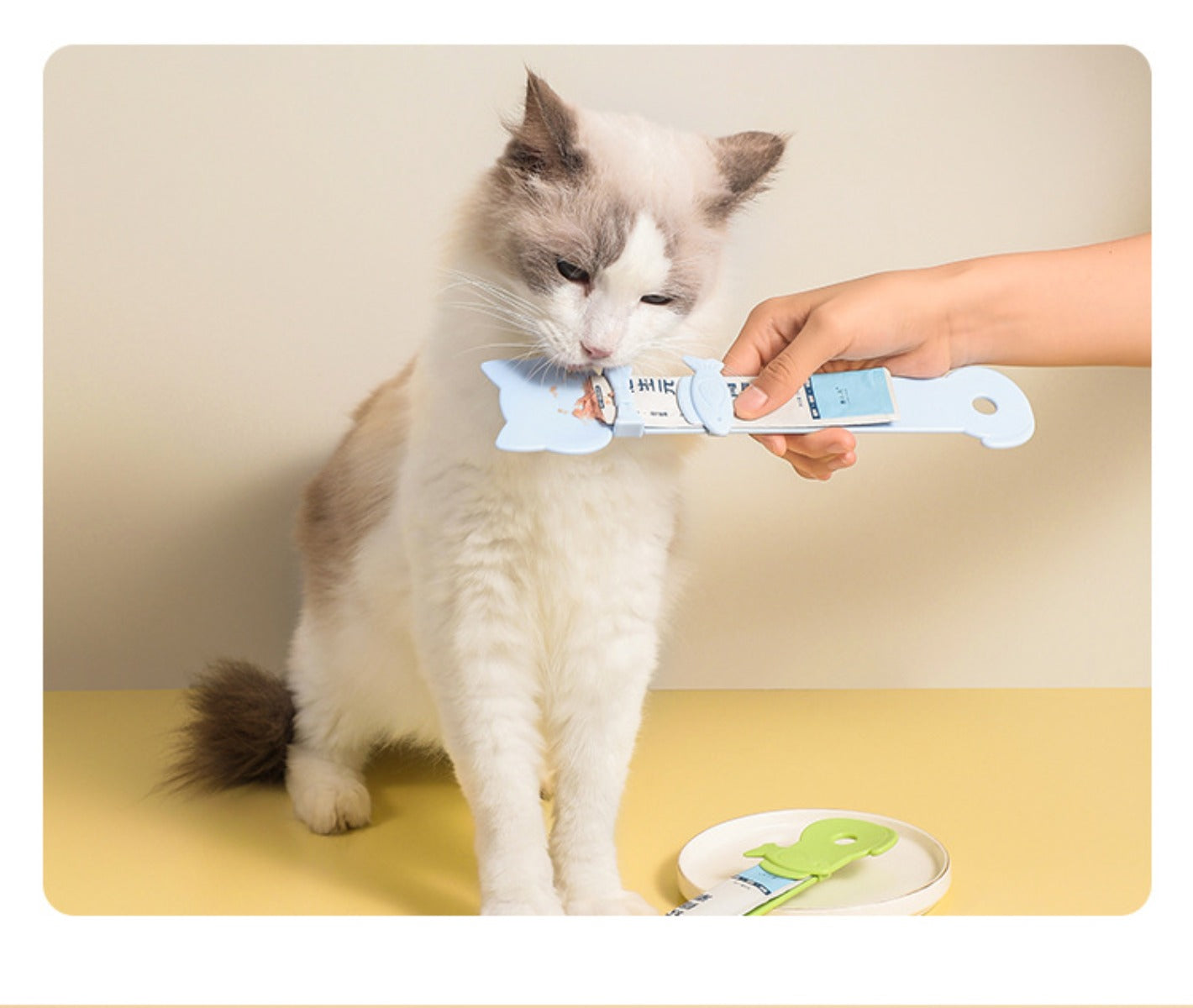 Sandsberg | Katzenfutterautomat mit langem Stiel