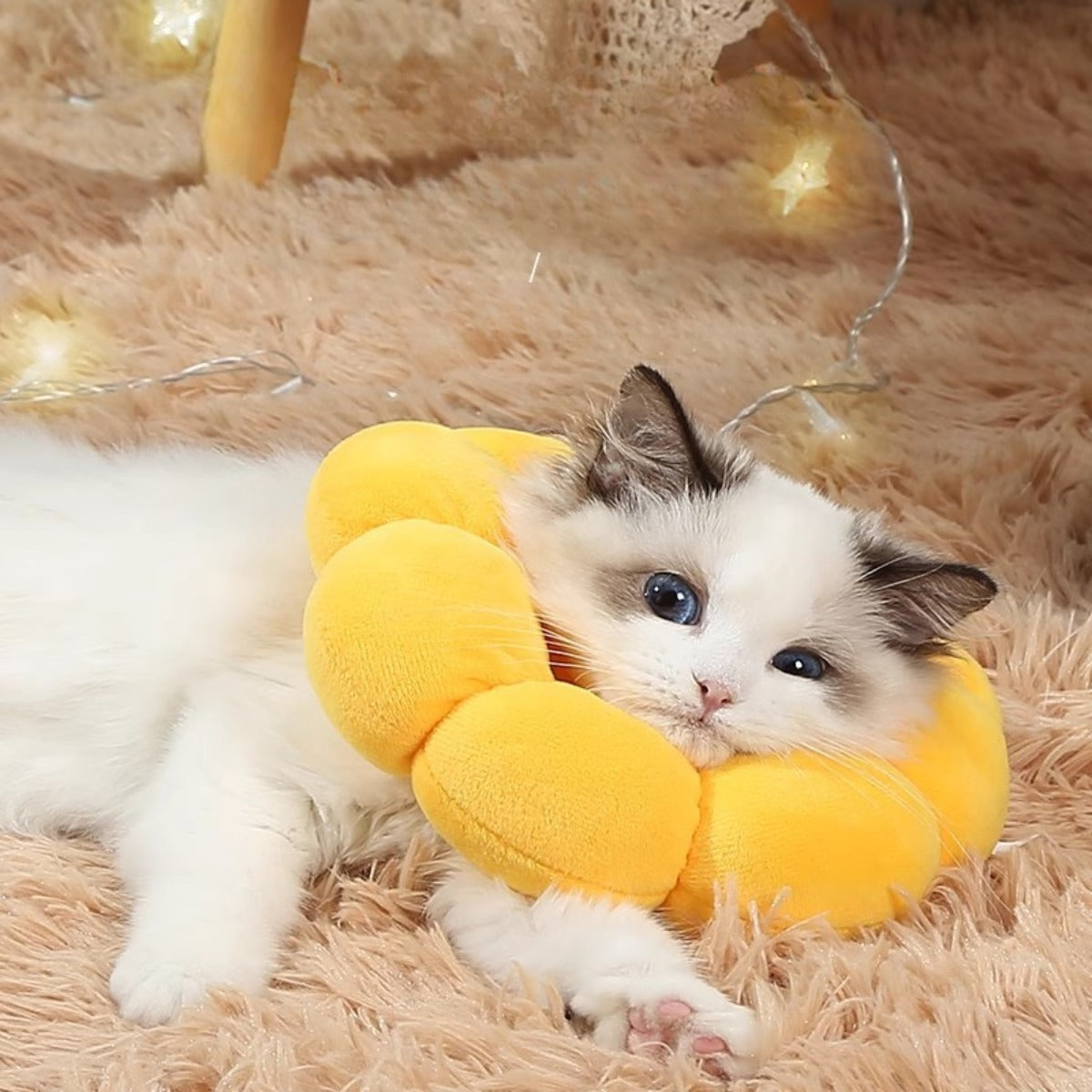 Sandsberg | Elizabeth Ring Anti-Leck-Floh-Entfernungshalsband