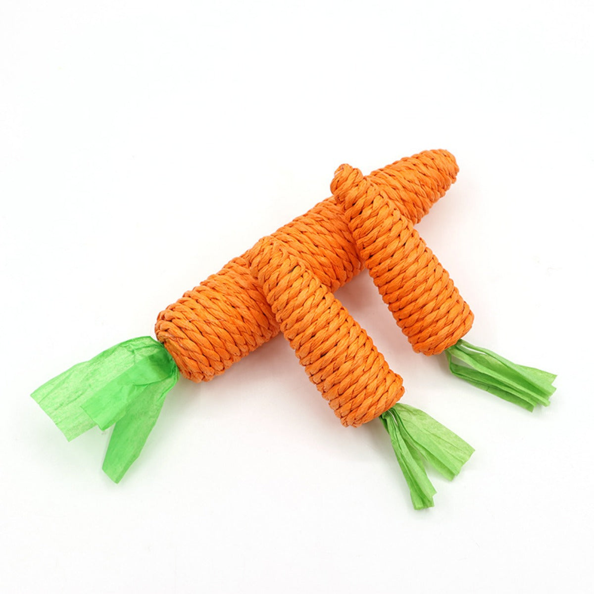 Sandsberg | Karotte Haustier Backenzahn Klaue Stick