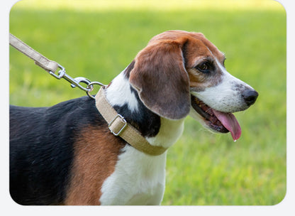 Sandsberg | Halsring aus reinem Hanf für große, mittlere und kleine Haustiere