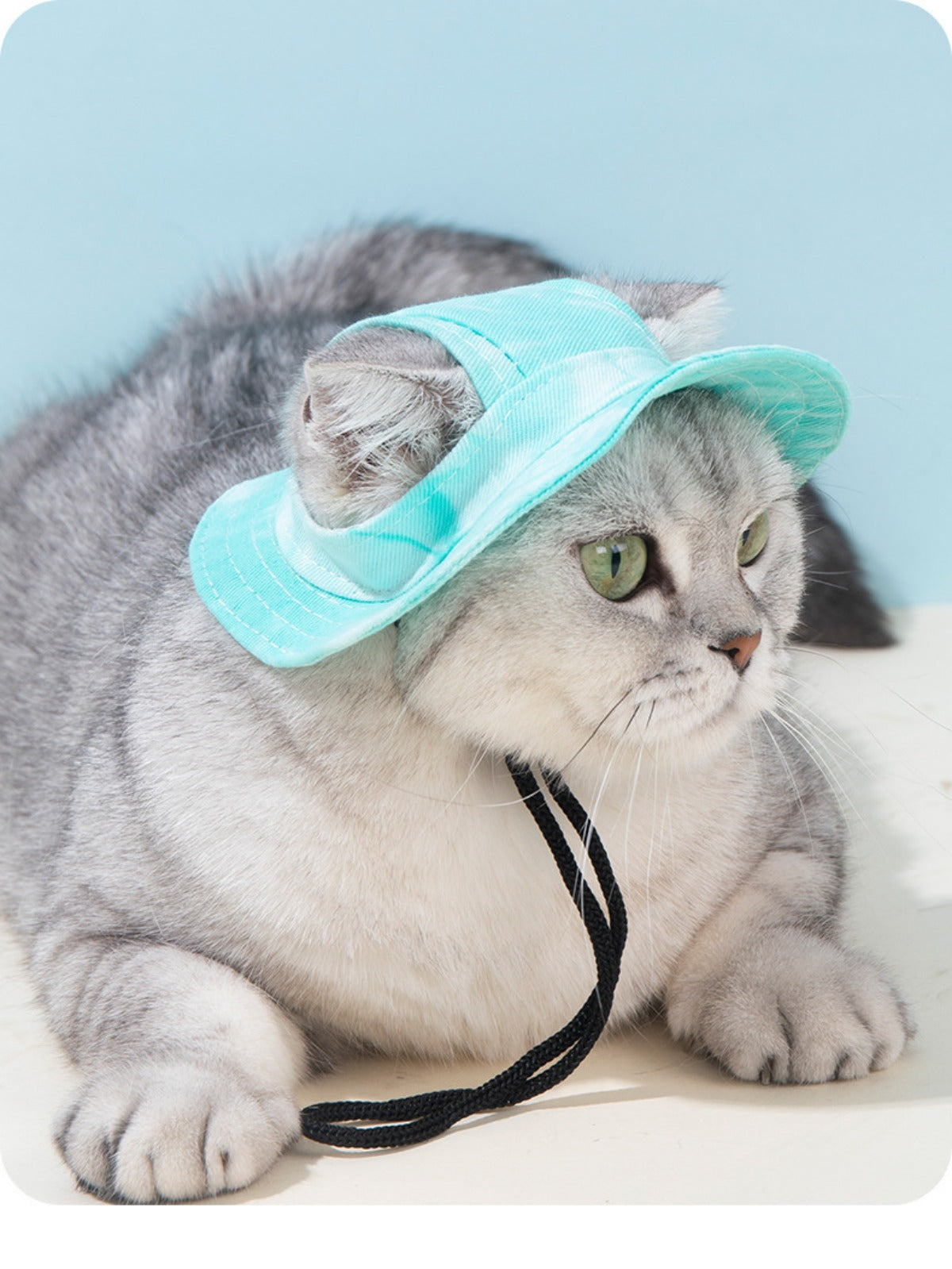 Sandsberg | Hund Katze Sonnenschirm Eimer Hut