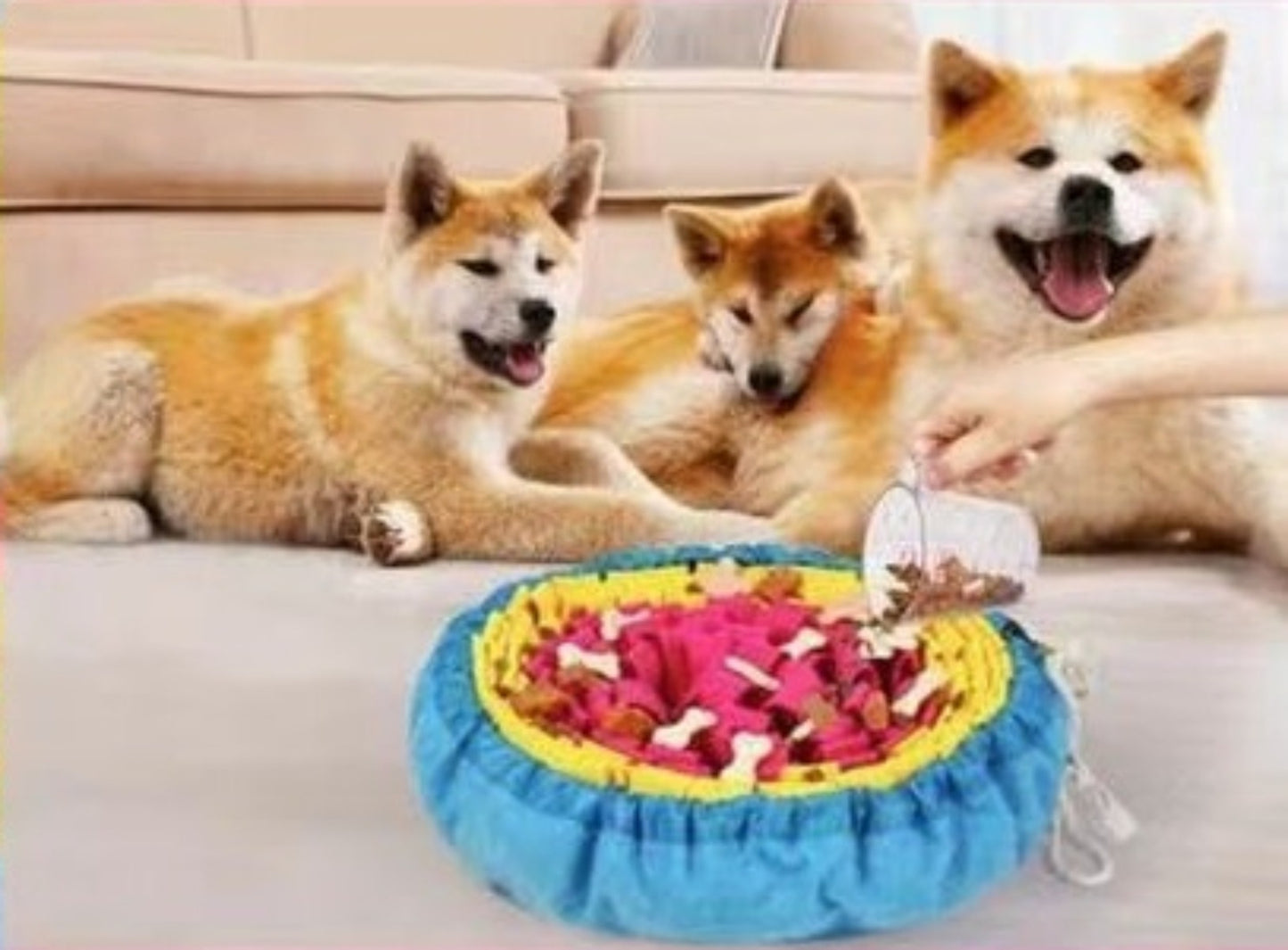 Sandsberg | Tibetisches Futtertraining Hundespielzeug