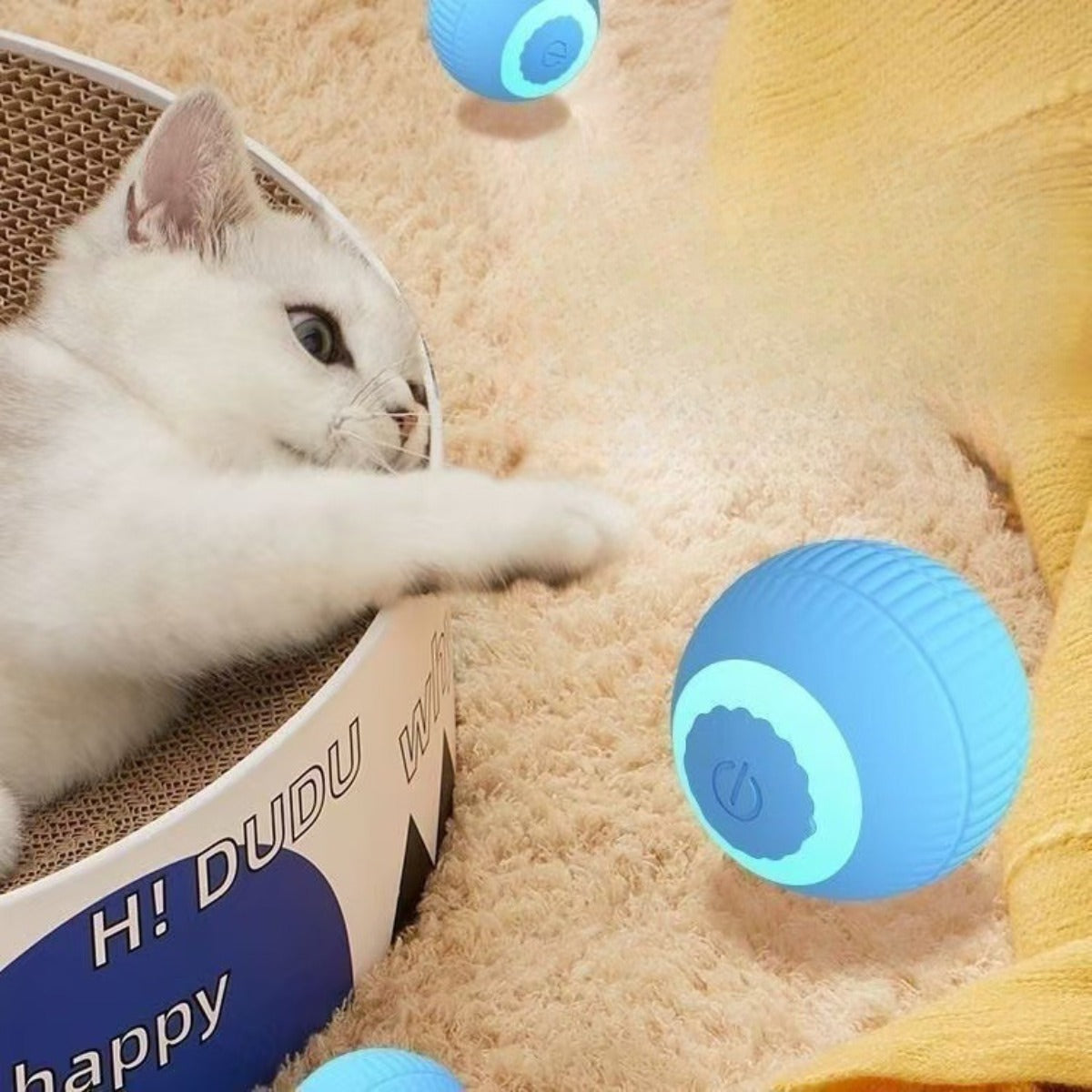 Sandsberg | Elektrischer Rollball neckt Katze